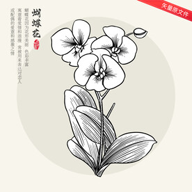 矢量蝴蝶花