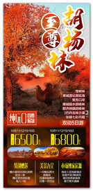 胡杨林旅游