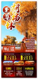胡杨林旅游