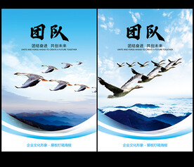 团队
