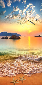 清新简约海景沙滩风景玄关