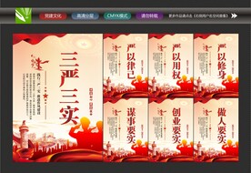 三严三实