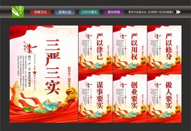 三严三实