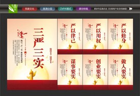 三严三实