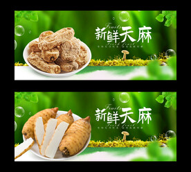天麻