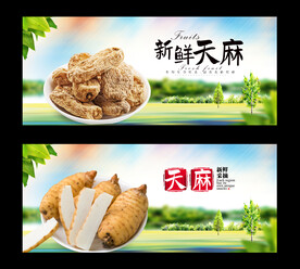 天麻
