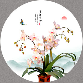 国画兰花