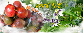 百香果海报