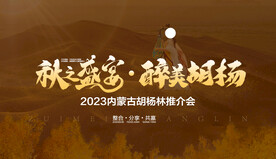 胡杨林旅游海报