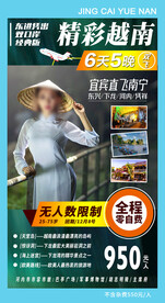 越南旅游海报