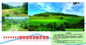 农田复耕项目示范基地