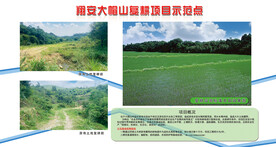农田复耕项目示范基地