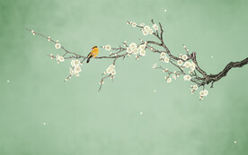 花鸟梅花