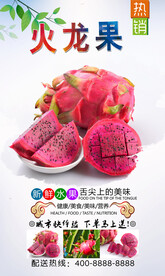 火龙果  