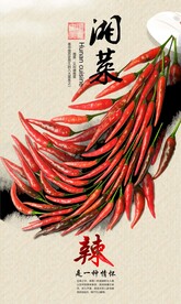 湘菜展示画