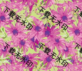 爆款大花朵