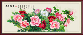 国色天香牡丹花