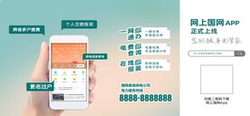 网上国网APP