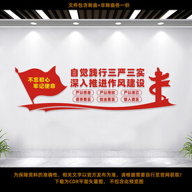 三严三实