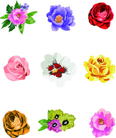 玫瑰花