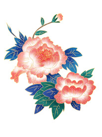 牡丹花
