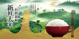 有机大米粮食展板