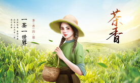 采茶