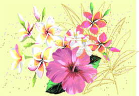 鲜花插画设计