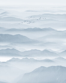 玄关水墨画