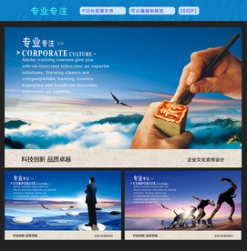 专业专注