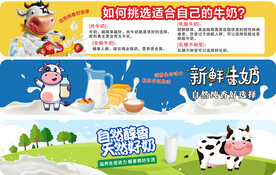 纯牛奶店教