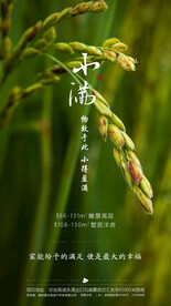小满  