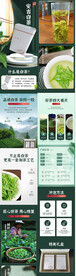 白茶详情