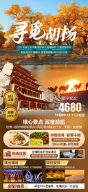 寻觅胡杨