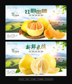 蜜柚