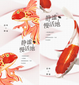 锦鲤 