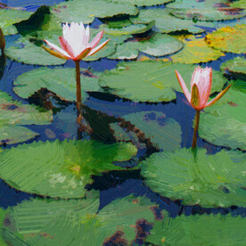 荷花油画