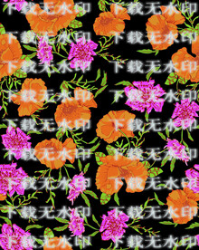 热带花卉