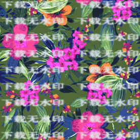 热带花卉