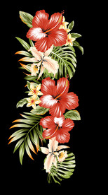 扶桑花