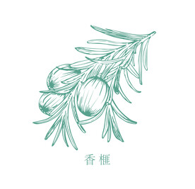 手绘香榧