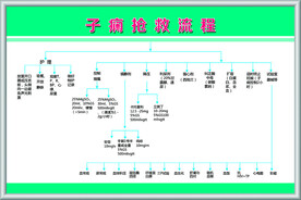 子痫抢救流程