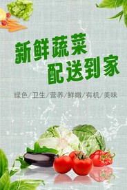 新鲜蔬菜 配送到家
