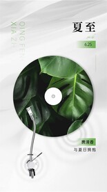 夏至节气海报