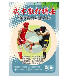 散打锦标赛海报