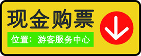 抢票在线购票火车票机票现金购票