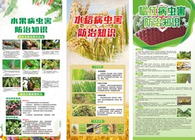 病虫害防治知识