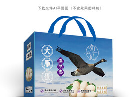 大雁蛋礼盒