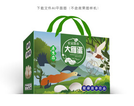 大雁蛋设计