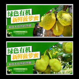 菠萝蜜